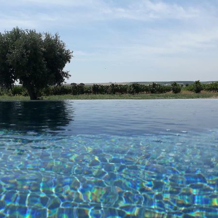 Terras - Agroturismo & Vinhos Beja Esterno foto