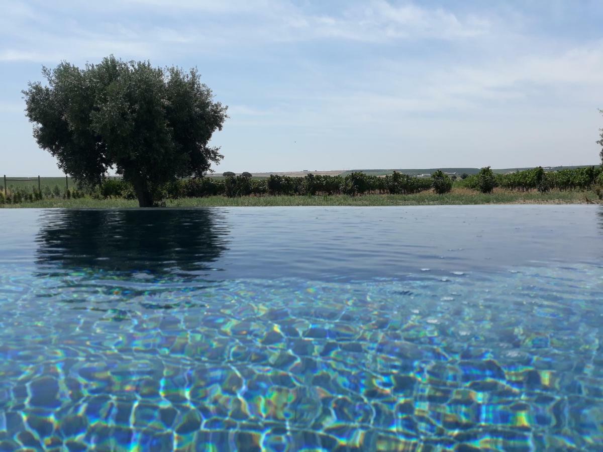 Terras - Agroturismo & Vinhos Beja Esterno foto