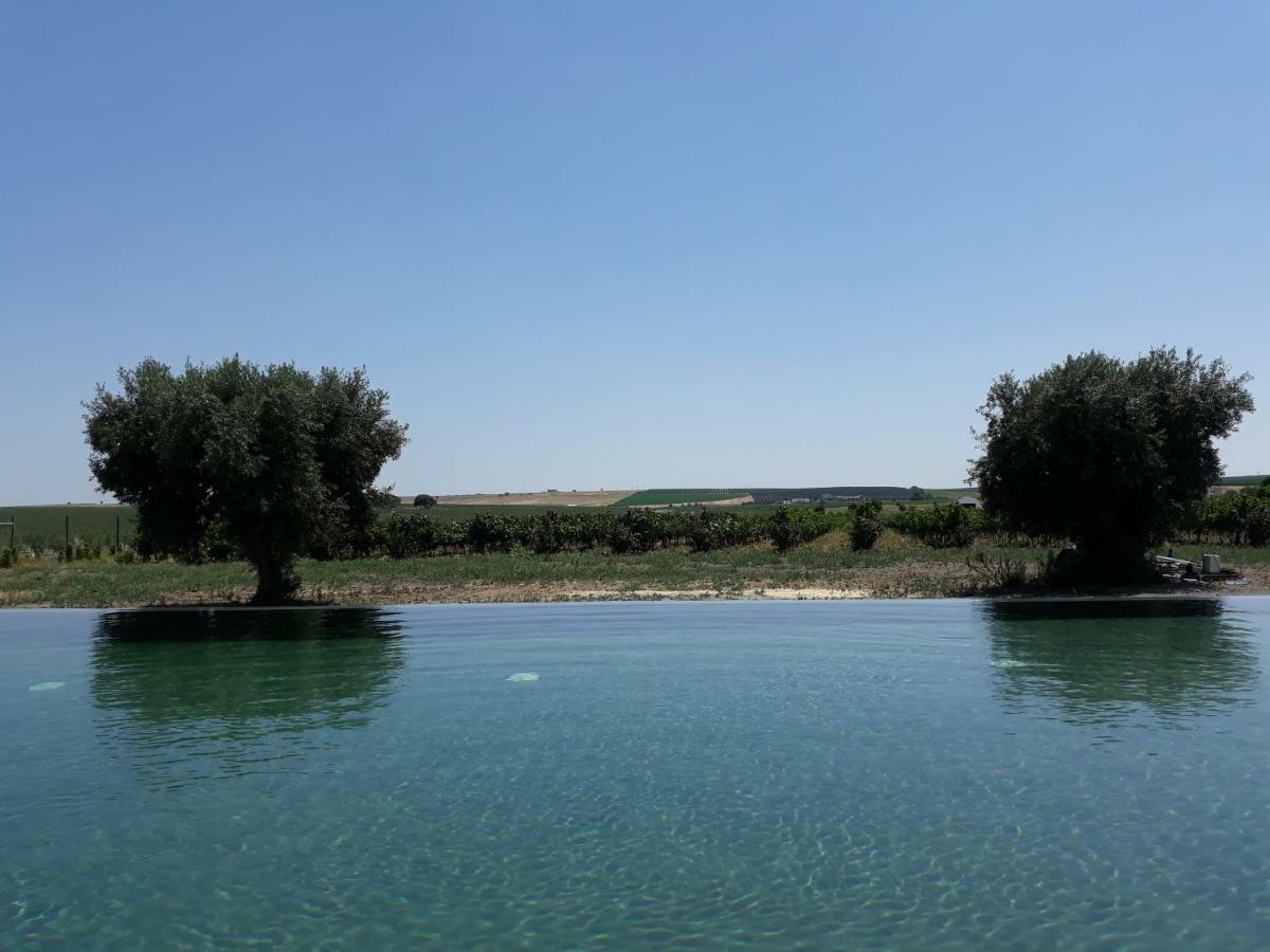 Terras - Agroturismo & Vinhos Beja Esterno foto
